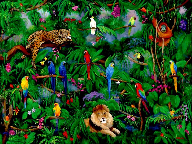 TROPICAL BIRDS, JUNGLE WILD ANIMALS