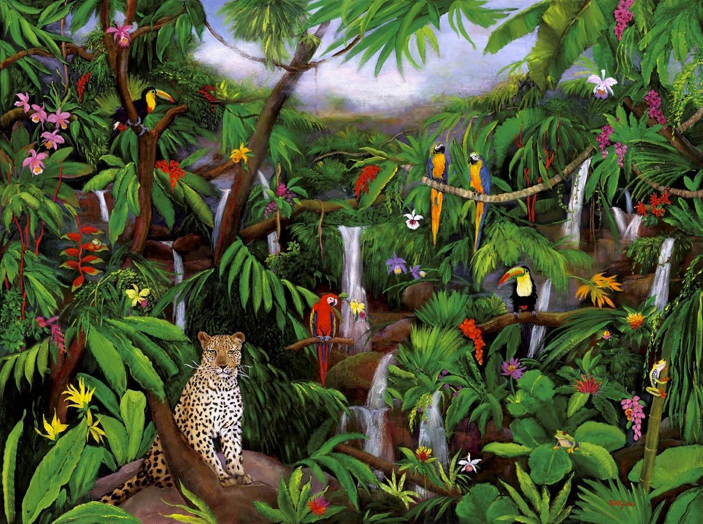 CLOUD FOREST, WILD ANIMALS, JUNGLE