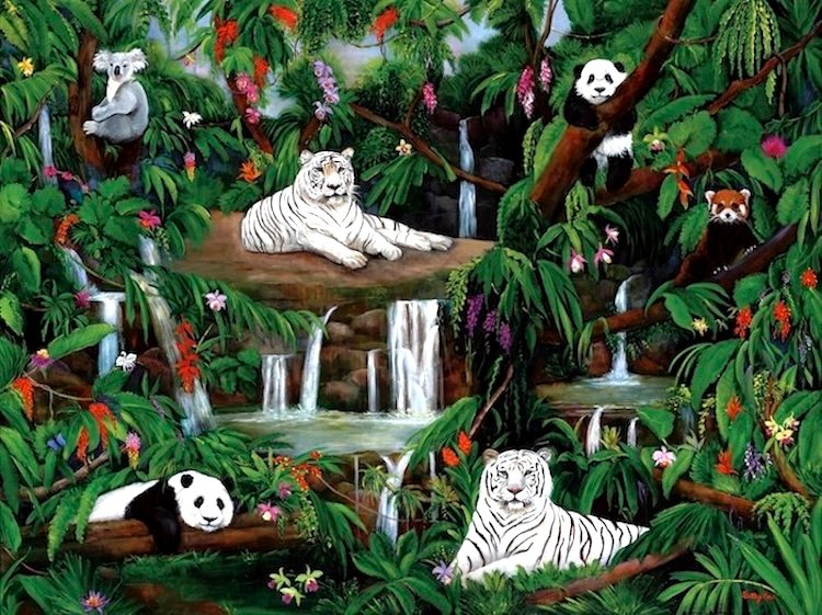 WHITE TIGERS, KOALA, PANDA
