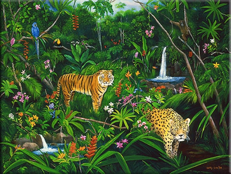 LEOPARD AND TIGER INTHE JUNGLE, RAIN FOREST