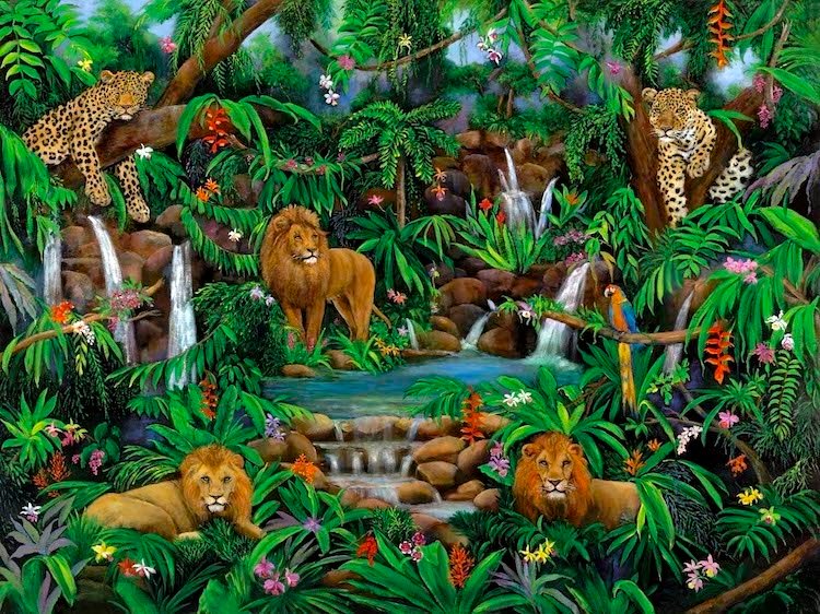 LIONS, LEOPARD, JUNGLE