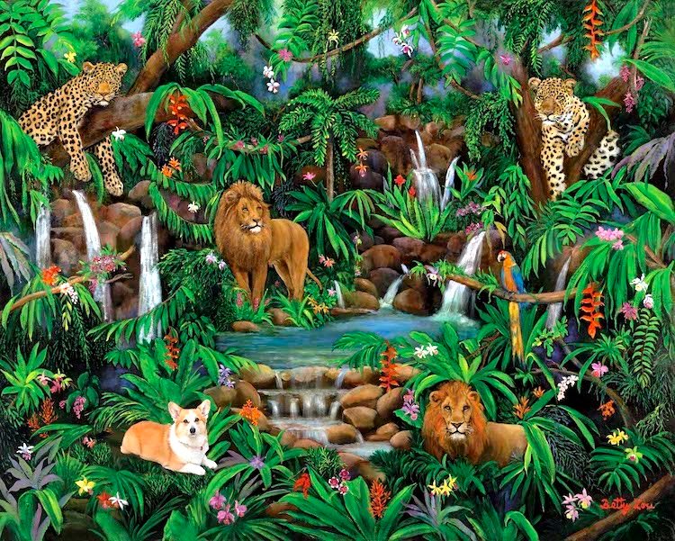 DOG, WILD ANIMALS, JUNGLE