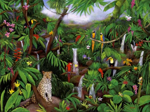 CLOUD FOREST, WILD ANIMALS, JUNGLE