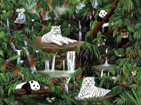 WHITE TIGERS, KOALA, PANDA