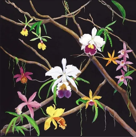COLORFUL ORCHIDS